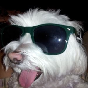 Meet your Posher, Suzanne